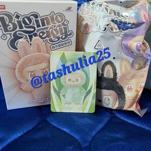 Pop Mart THE MONSTERS Big into Energy Vinyl Plush  Blind Box Serenity Labubu